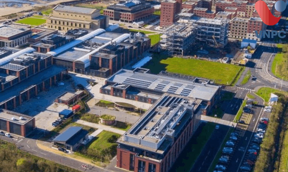 Swansea University
